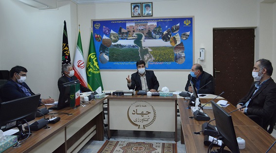 پرداخت تسهیلات تشویقی به کلزاکاران استان آذربایجان شرقی