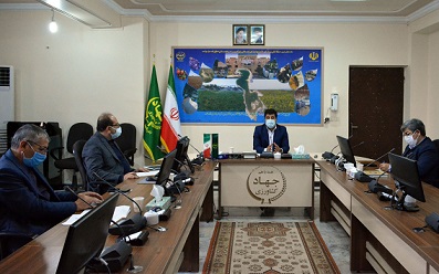 بیمه محصولات کشاورزی تنها راه کاهش ریسک محصولات کشاورزی است