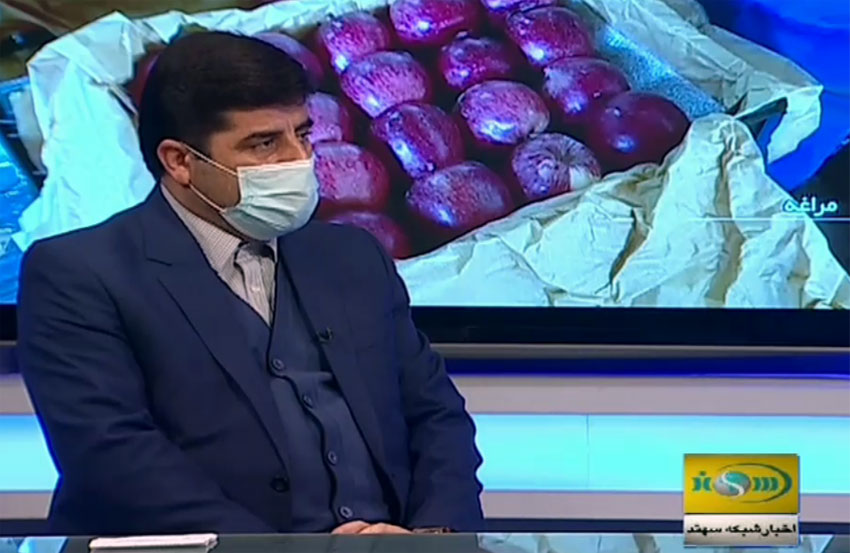 تلاش برای ایجاد ارتباط با کشورهای اوراسیا و عقد توافقنامه تجارت آزاد سیب