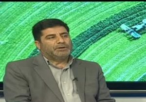 کشت قراردادی به اصلاح الگوی کشت و اجرای سیستمهای نوین آبیاری سرعت می بخشد