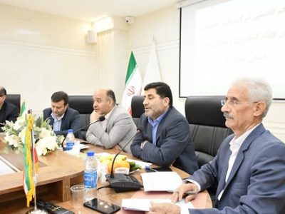 صندوق حمایت از توسعه سرمایه گذاری در بخش کشاورزی بستر رفع چالشهای موجود بخش