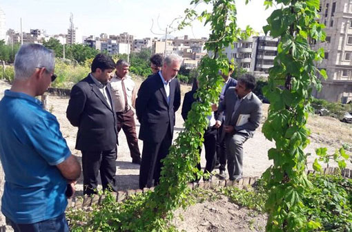 لزوم توسعه باغ موزه گیاهان دارویی به عنوان مجموعه تحقیقی و گیاه درمانی