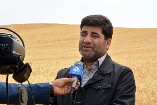 عواقب هرگونه خرید و فروش گندم خارج از شبکه مصوب دولت به دلالان و خریداران، مستقیماً متوجه متخلفین این امر خواهد شد