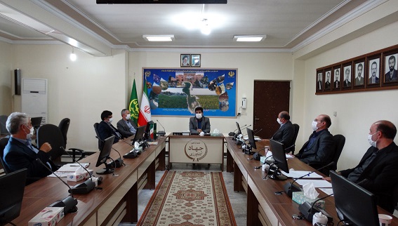 بیش از ۲۱ هزار تن از از بذور گندم مورد نیاز استان آذربایجان شرقی اصلاح شده می باشد