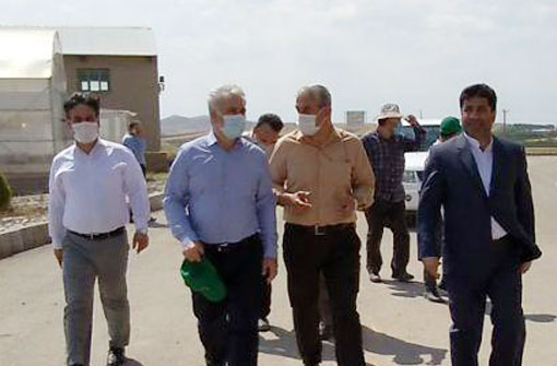 رئیس سازمان جهادکشاورزی استان آذربایجان شرقی: پیش بینی برداشت ۶۵۰ الی ۷۰۰ هزار تن گندم در آذربایجانشرقی