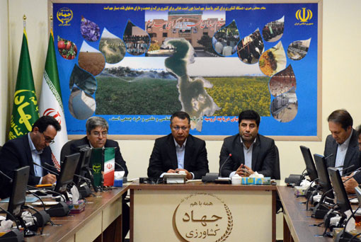 کاهش سطح زیر کشت گندم در صورت عدم افزایش نرخ خرید تضمینی گندم توسط دولت