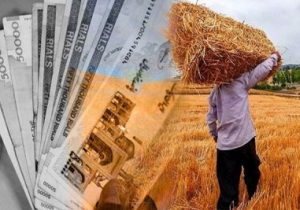 پرداخت مطالبات گندمکاران آذربایجان شرقی