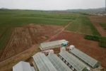 ایجاد سه پایگاه نوآوری جهش تولید زراعی در آذربایجان شرقی