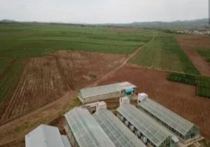 ایجاد سه پایگاه نوآوری جهش تولید زراعی در آذربایجان شرقی