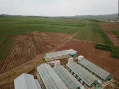 ایجاد سه پایگاه نوآوری جهش تولید زراعی در آذربایجان شرقی