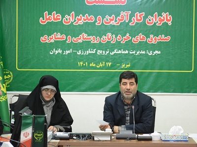 لزوم توجه ویژه به برندسازی محصولات / برپایی نمایشگاههای دائمی برای محصولات زنان روستایی و عشایر