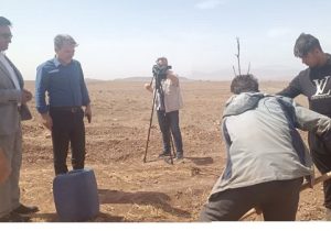 ایجاد اشتغال برای بیش از ۵ هزار نفر با اجرای طرحهای توسعه باغات در آذربایجان شرقی