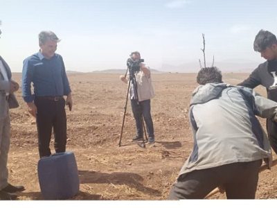 ایجاد اشتغال برای بیش از ۵ هزار نفر با اجرای طرح‌های توسعه باغات در آذربایجان شرقی