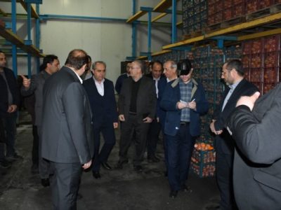 میوه شب عید به میزان کافی ذخیره شده و با قیمت مناسب عرضه میشود