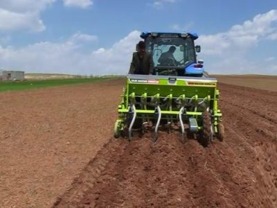 کشت پاییزه گندم در ۲۵ هزار هکتار از اراضی مراغه