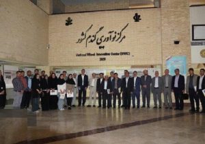 راه اندازی مرکز تخصصی نوآوری گندم در دانشگاه تبریز