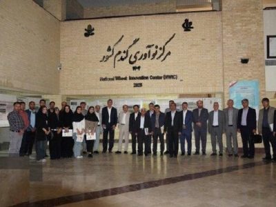 راه اندازی مرکز تخصصی نوآوری گندم در دانشگاه تبریز