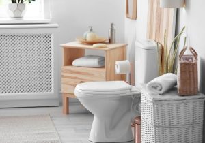 توالت؛ اختراعی که جان انسان را نجات می‌دهد!