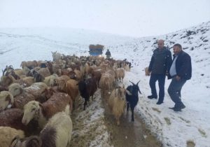 امدادرسانی به عشایر گرفتار شده آذربایجان شرقی در اثر برف و کولاک