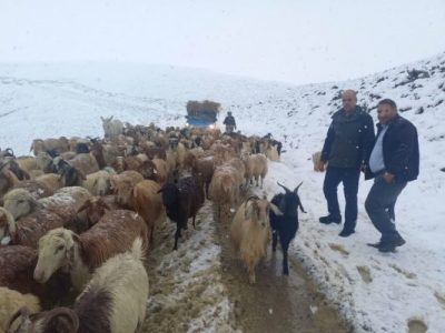 امدادرسانی به عشایر گرفتار شده آذربایجان شرقی در اثر برف و کولاک