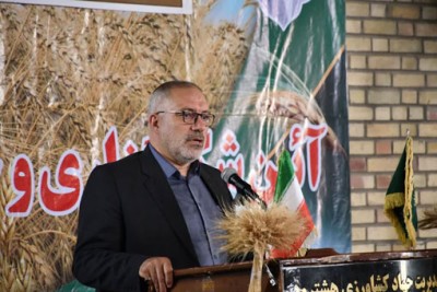 گندمکاران به شایعات توجه نکنند/گندم خریداری شده از قرار کیلویی ۱۵ هزار تومان پرداخت می شود