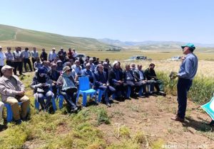 کشت عمود بر شیب در دیمزارها به اندازه یک نوبت بارندگی مؤثر، در افزایش عملکرد تأثیرگذار است