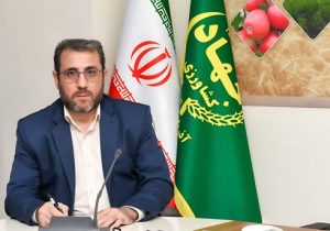 خرید ۹۵۰۰ تن گندم توسط تعاون روستایی آذربایجان شرقی