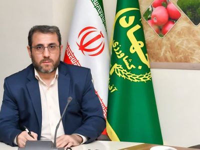 خرید ۹۵۰۰ تن گندم توسط تعاون روستایی آذربایجان شرقی