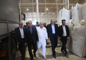 تأمین ۹۰ درصد گوشت قرمز کشور از تولید داخل تا پایان برنامه هفتم توسعه