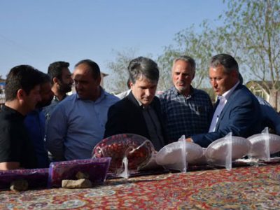 زغال‌اخته؛ محصول استراتژیک ارسباران با ارزش افزوده سه‌برابری نسبت به محصول خام