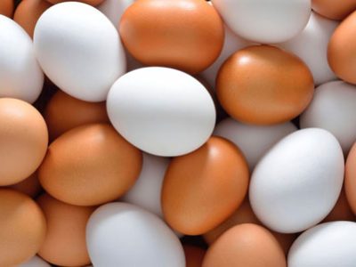 یش از ۱۰ درصد تخم مرغ کشور در آذربایجان شرقی تولید می شود