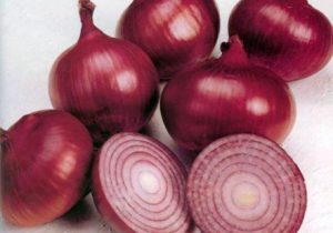 امضای سند همکاریهای گمرکی در حوزه ترانزیت بین معاونین روسای گمرکات ایران، روسیه و آذربایجان