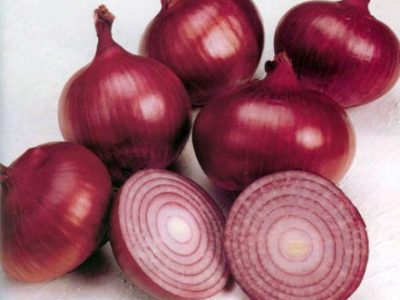 امضای سند همکاریهای گمرکی در حوزه ترانزیت بین معاونین روسای گمرکات ایران، روسیه و آذربایجان