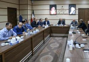 هیچگونه کمبودی در زمینه تهیه و توزیع گوشت قرمز در آذربایجانشرقی وجود ندارد