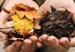 تولید و مصرف کمپوست؛ راهکار اصلی افزایش حاصلخیزی و بهره‌وری مزارع و باغات استان