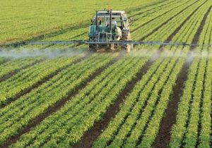 آغاز کشت پاییزه در ۲۱ شهرستان آذربایجان شرقی