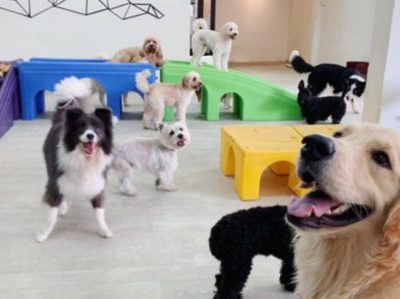 تبریز را به جایگاه خود برگردانیم/ تبریز جایی برای افراط و سوسولبازی مهدسگ ها نیست