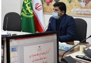 ۱۵درصد مرغ کشتار شده می تواند به واحدهای قطعه بندی منتقل شود