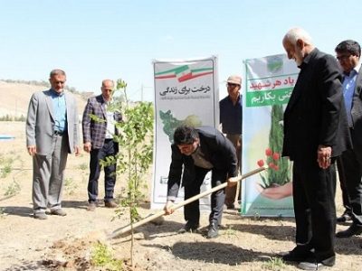 کاشت ۱۲۴ نهال به یاد شهدای جهادگر و سنگرساز بی‌سنگر آذربایجان شرقی