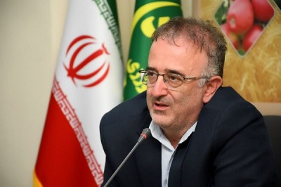 مبارزه با سن گندم در ۸۶ هزار هکتار از اراضی آذربایجان شرقی ‏