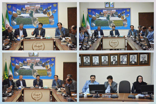 تا پایان سال زراعی ۹۹ تمامی محصولات جالیزی باید در فضاهای بسته و گلخانه ای کشت شوند