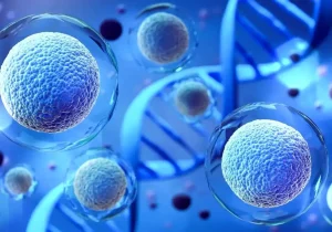 سلول‌ها تشخیص می دهند که متعلق به کدام عضو بدن هستند؟