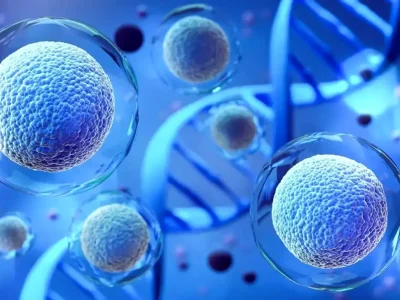 سلولها تشخیص می دهند که متعلق به کدام عضو بدن هستند؟