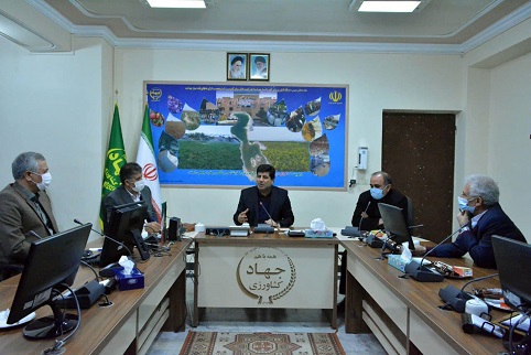 مشکل بازار کشمش ملکان، از طریق خرید حمایتی و خرید توافقی حل می شود