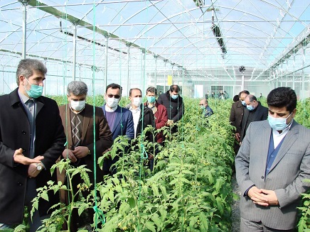 افتتاح فاز نخست مجتمع گلخانه ای هیدروپونیک در شهرستان اهر