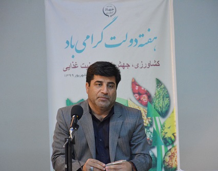 کشت کلزا باید در اولویت کاری سازمان جهادکشاورزی استان و مدیریت زراعت قرار گیرد