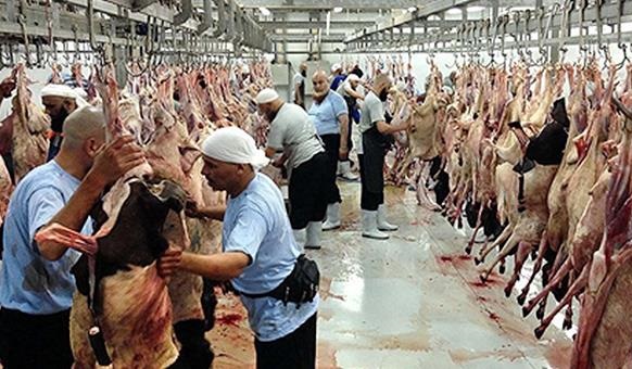 موسوی لارگانی پیشنهاد داد:ارسال محموله گوشتهای قربانی حج به مناطق محروم کشورمان