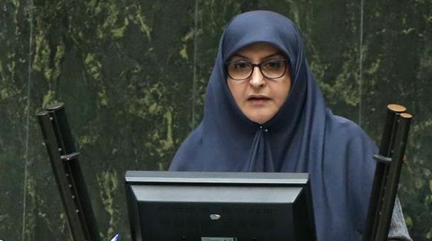 عضو کمیسیون فرهنگی مجلس؛ رتبه ایران در حفظ محیط زیست نگرانکننده است