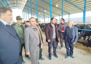 افتتاح گاوداری صنعتی با اعتبار ۱۰۰ میلیارد ریال در بخش گوگان شهرستان آذرشهر