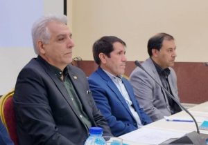 بهره‌وری در صنعت برق نیازمند مشارکت همه شرکت‌های توزیع است